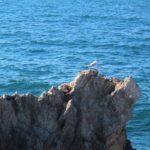 Familienurlaub auf Mallorca