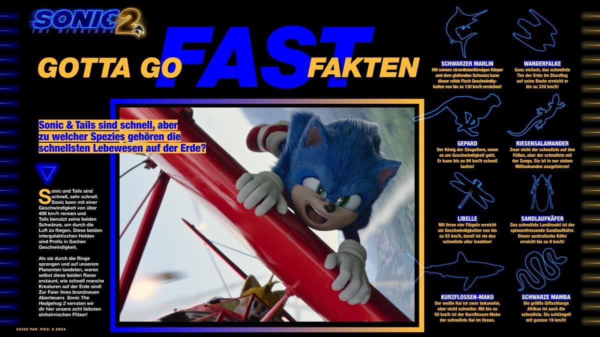 Sonic 2 - Fast Fakten