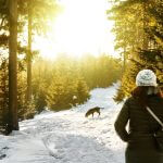 Haustier, Winter, person standing on snow covered forest watching dog