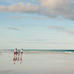 Lands´ End