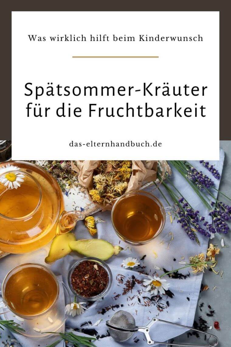 Spätsommer-Kräuter für die Fruchtbarkeit – Was wirklich hilft beim Kinderwunsch Kräuter bei Kinderwunsch