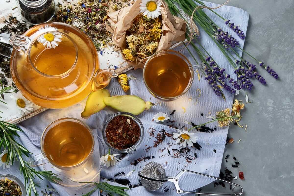 Verschiedene Kräuter, Blüten und Teetassen auf einem Tisch – Symbolbild für natürliche Unterstützung bei Kinderwunsch