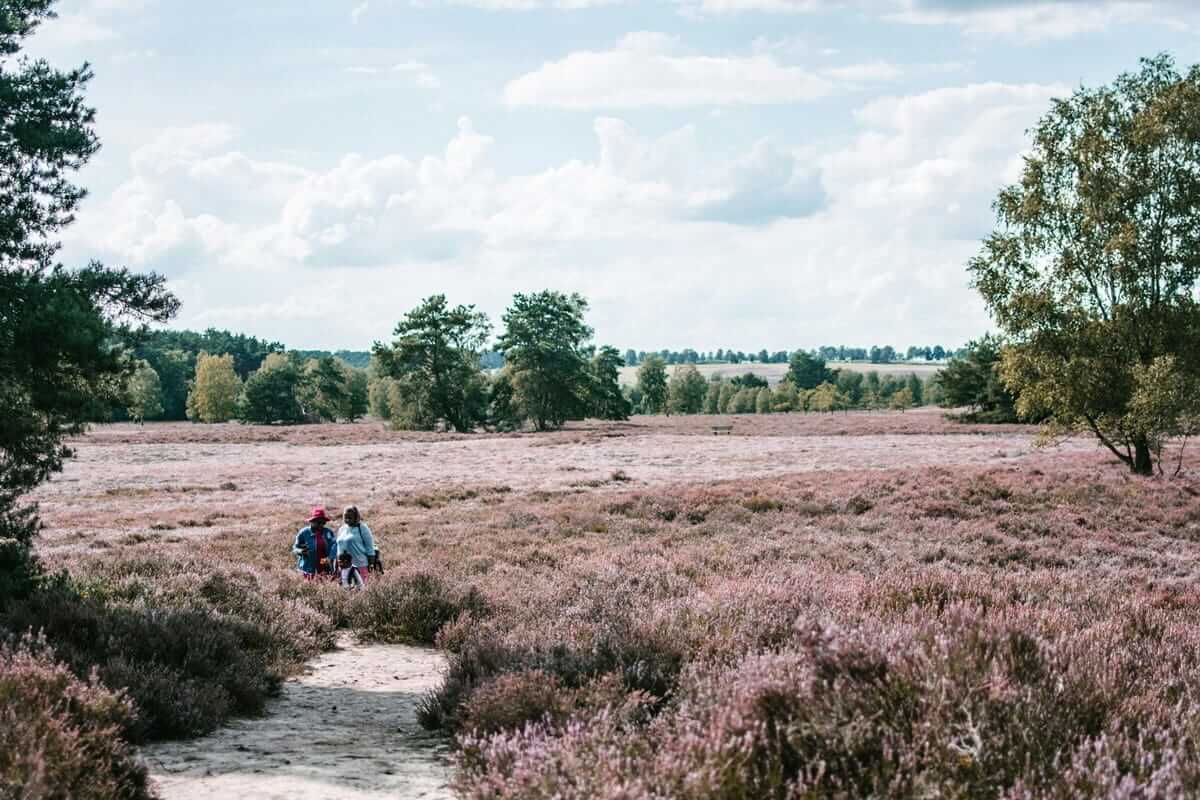 Herbstglück mit Kindern: So schön ist Deutschland im Oktober Lüneburger Heide