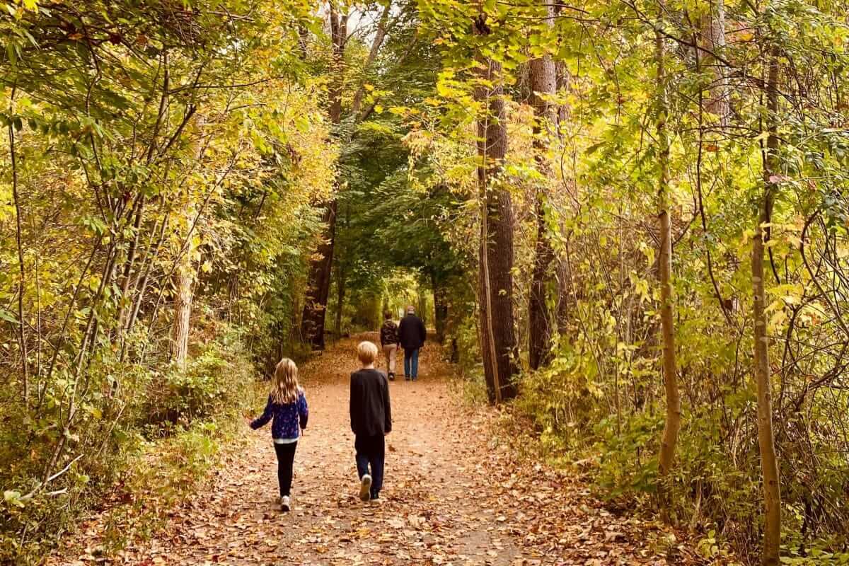 Herbst-Ausflug / Familie spaziert im bunten Herbstwald – Kinder laufen auf einem Laubweg zwischen goldenen und roten Blättern