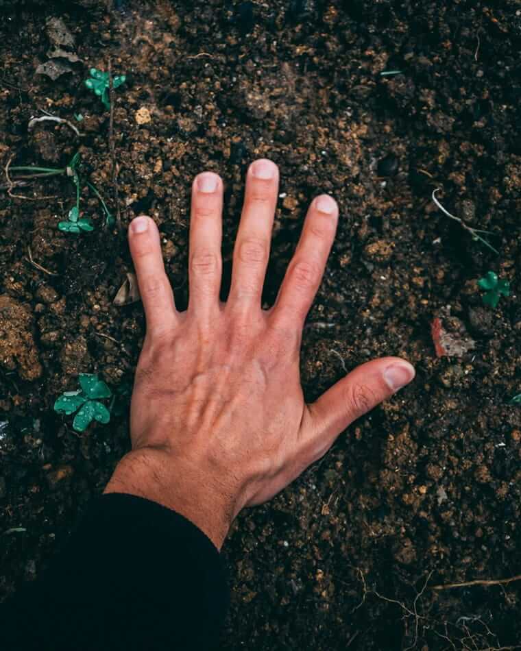 Ehering verloren – und jetzt? So gehst du entspannt und richtig vor Ehering verloren / Hand sucht auf Erde