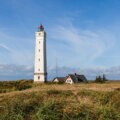 Der Leuchtturm von Blavand zwischen Dünen und blauem Himmel an der dänischen Nordseeküste