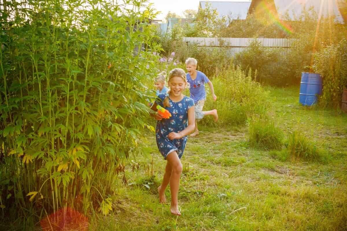 Sommerferien mit Kindern zu Hause: Ideen, Struktur und weniger Stress Sommerferien mit Kindern / Kinder rennen mit Wasserpistolen durch einen sommerlichen Garten im Abendlicht