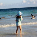 Mädchen steht im flachen Wasser am Strand und beobachtet Möwen – Ostsee mit Kindern
