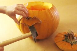 Kürbis - so geht's! Kürbis - so geht's!