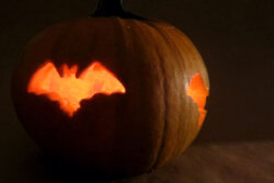 Fertiger Kürbis Fertiger Kürbis