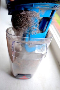 Schmutz BISSELL CrossWave™